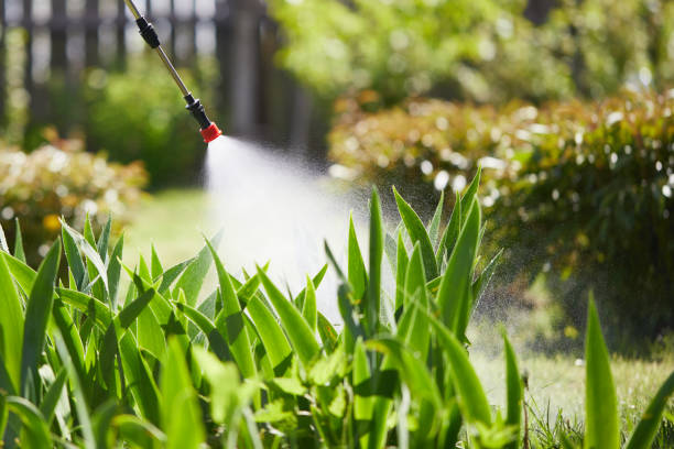 Tamper-Resistant Bait Stations for Rodents in Greer
