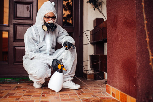 Attic and Crawl Space Rodent Treatment in Greer