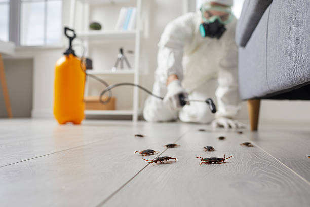 Commercial Rodent Management in Greer